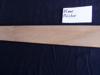 Rüster Ulme 1000 mm L